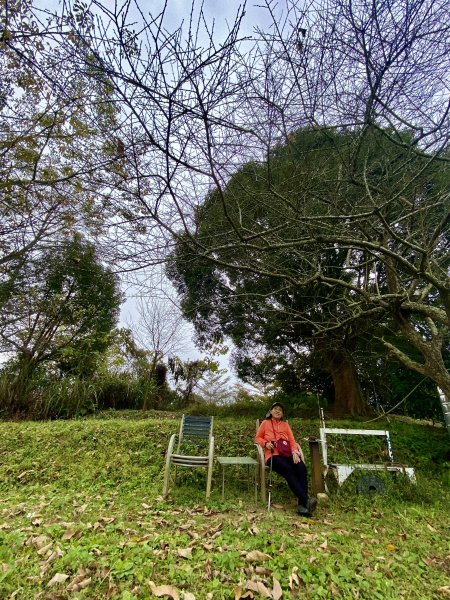 東勢基石巡禮(麻竹坑山.石角山.酒保坪山.大南坑山.主峰)  2022/12/301976277