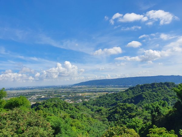 龍過脈森林步道1063083