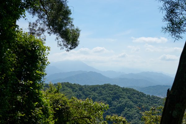 飛鳳山步道 (代勸堂上竹林路下)1886065