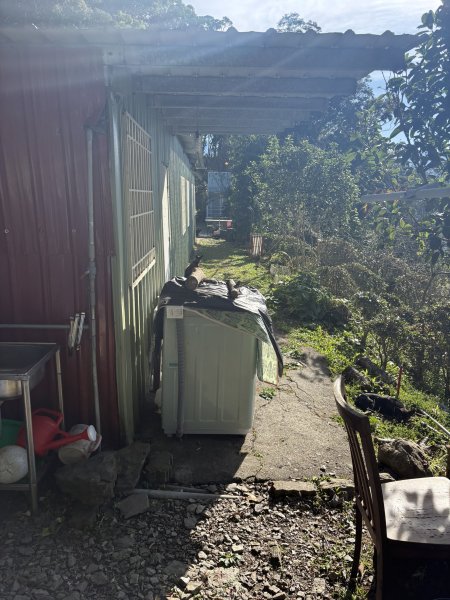 20251207藤枝山步道2957630