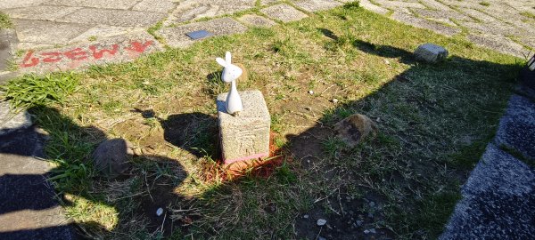 通霄神社+虎頭山公園-2025/11/152939313