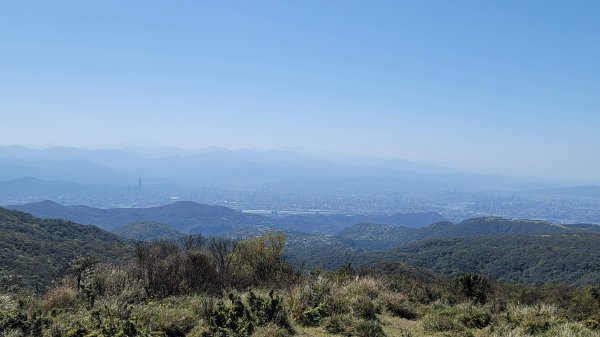 風櫃口頂山石梯嶺擎天崗2056587