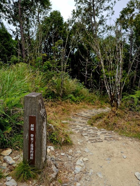 翠峰湖環山步道-(宜蘭)臺灣百大必訪步道2827553
