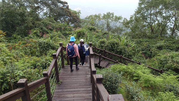 (姨婆趴趴走)第三十集:嘉義梅山太平雲梯、太平老街、太興岩茶園步道、龍王金殿2335388