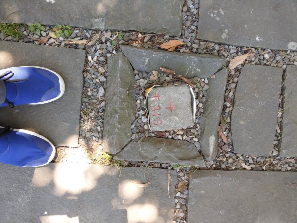 南港山及九五峰676198