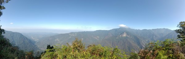 20231125_鳥嘴山步道(上島山)2359193