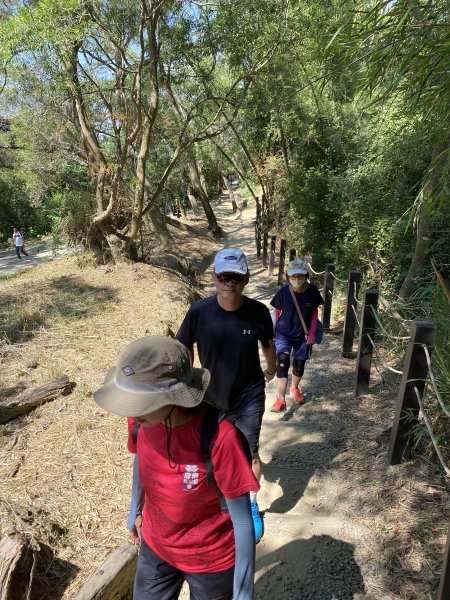《夏日大坑同行記｜10號步道登稜線，與家人感受山風與人情味》2926335