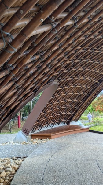 大湳森林公園2879740