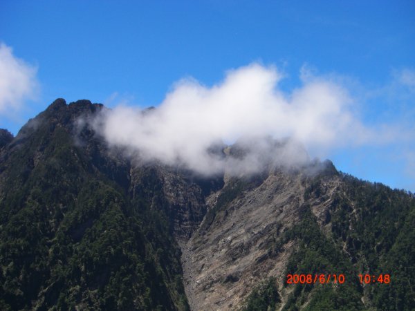 玉山暨阿里山之旅200806091954480