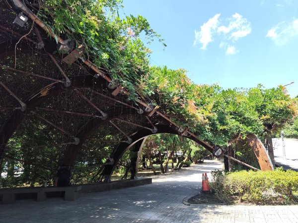【臺北大縱走1+2】2-1 二子坪步道→面天山向天山步道→梓園(五感體驗場)→面天坪涼亭→大屯山西峰2866818