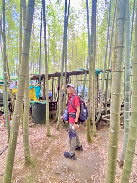 溪頭山、竹崙山、志騰山三山O型順撿內湖山  2024/5/312517738