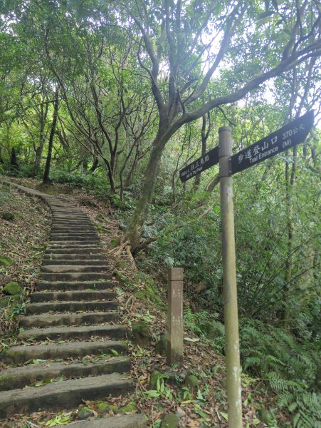 2026.07.18－姜子寮山3087997