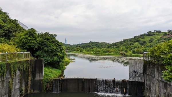 南港四分溪,三重埔埤濕地復育,大坑溪2502966
