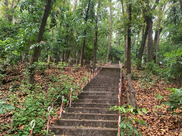 阿罩霧山、中心瓏步道2768910