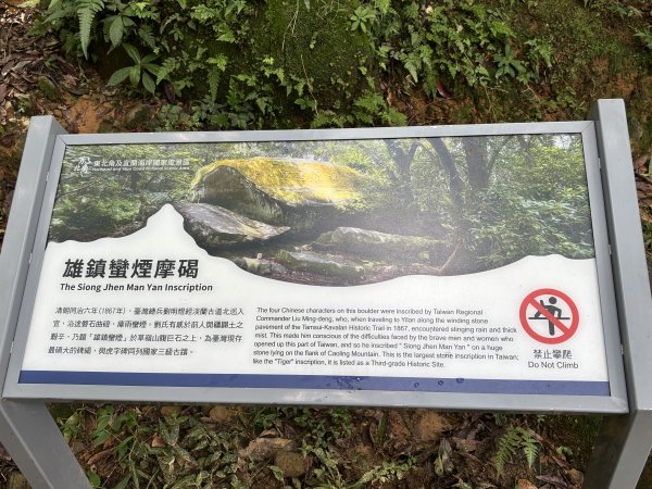 2025 芒草季 草嶺古道2932914