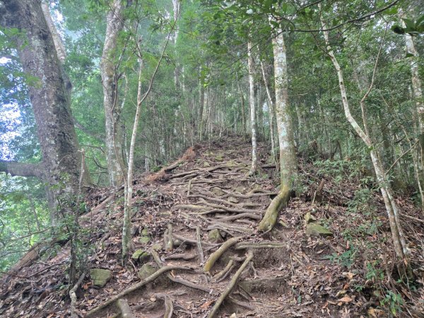 水雲三星～上島山（鳥嘴山）