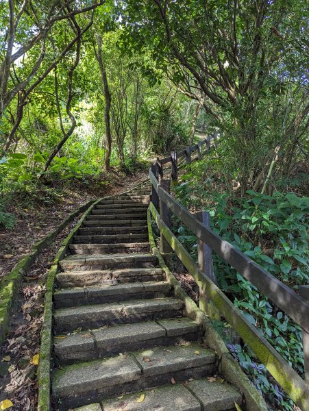 2023-08-26 臺北大縱走第六段2792744