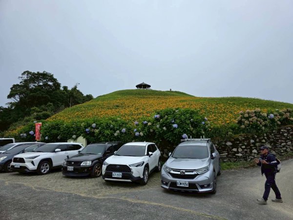 太麻里金針山2872614