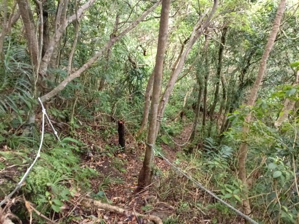 平溪區平溪子山遇雷雨O型2850143