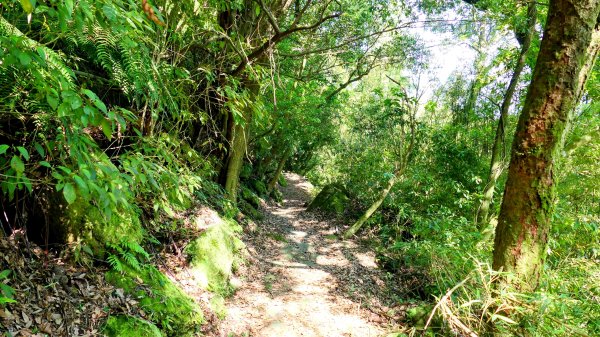 猴崁古道。盧特訪積2773360