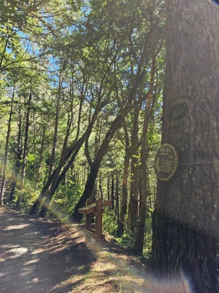 20240714🌞嘉明湖國家步道-向陽山⛰️2551339