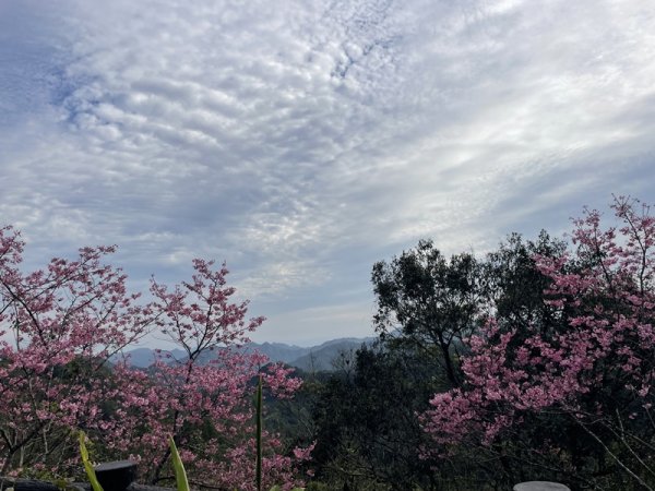 鱷魚頭景觀步道2729208