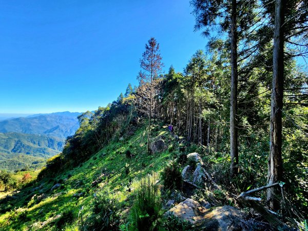 小百岳集起來-鵝公髻山2181620