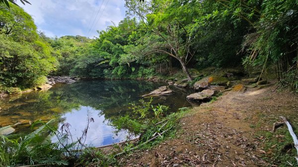 虎豹潭古道、大平山腰古道、樓仔厝古道O型走2232417