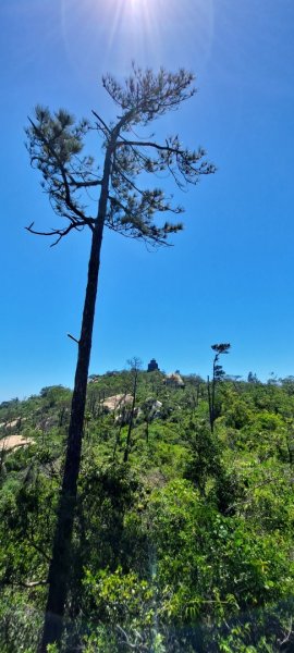 金門：蔡厝斗門太武山古道2487953