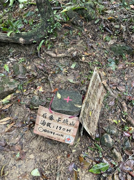 武山坑炭窯2990736