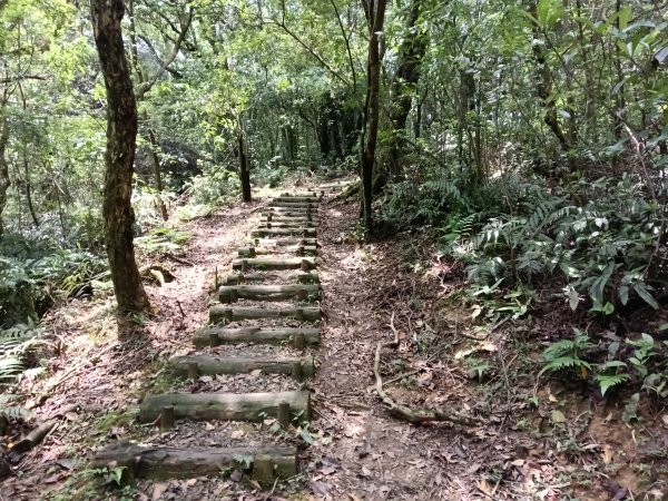 平溪區三功大厝+番子坑山+千階嶺步道O型2781161