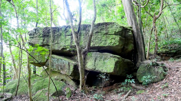 大邱田石門洞2856201