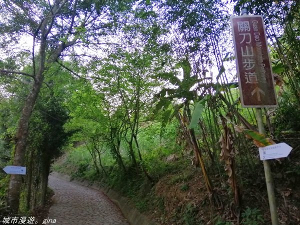 苗栗#36小百岳~聖關段(關刀山步道)1316690