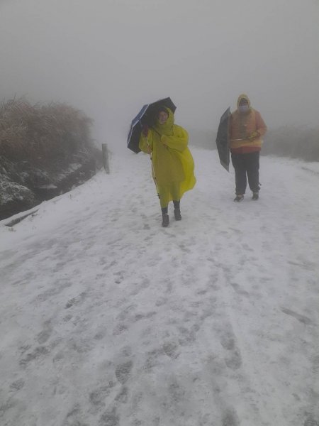 20210108冰封大屯山1232026