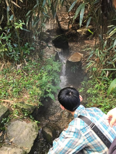 七星山攻頂577471