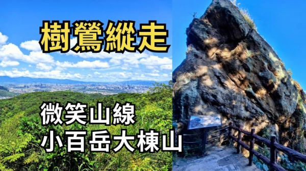新北 樹鶯縱走 樹林山-大棟山-鶯歌石