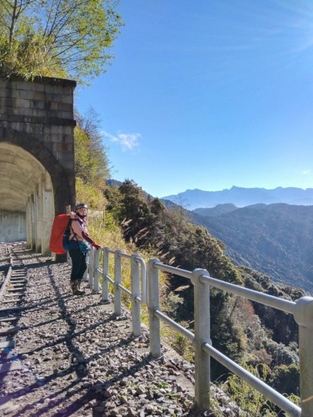 阿里山眠月線20211229-301618040