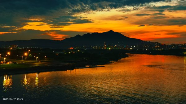 五色鳥和鐘萼木&夕陽晚霞 4/20