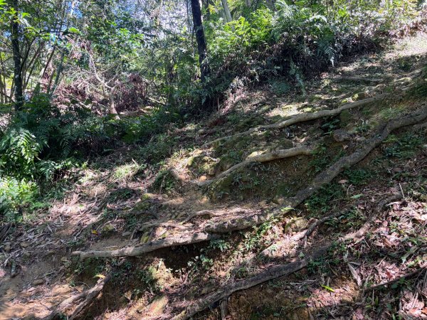 五分山系-望古瀑布段2896290