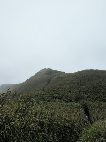 2023.04.22－七星山步道2123985