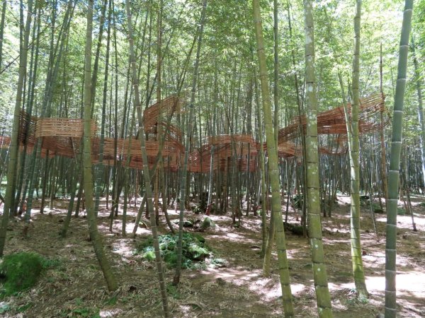 小半天孟宗竹林古戰場+長源圳生態步道Ｏ形2877854