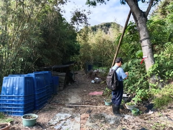 貢寮區龍洞坑古道+苦苓嶺+南雅山+海園古道O型2954597