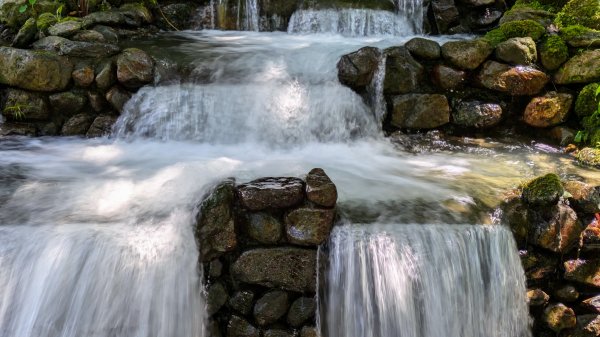 福山部落,內洞森遊區2552486