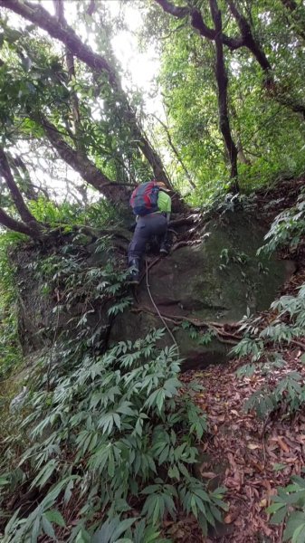 楓樹湖古道登面天北稜上面天山2782255