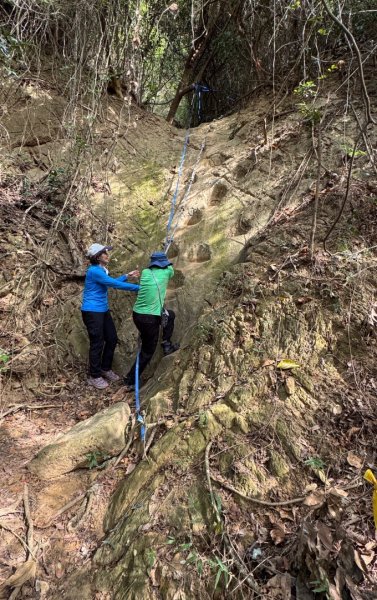 大社觀音山(小百岳#)2968583
