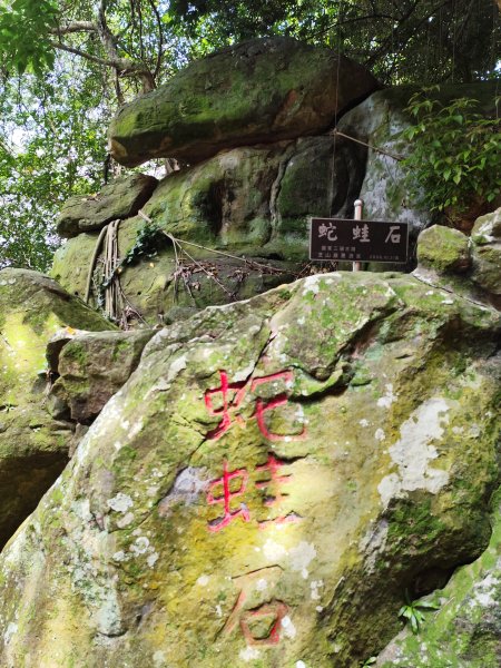 芝山岩健走步道、芝山巖惠濟宮、芝山公園、名山公園【臺北健走趣】2541102