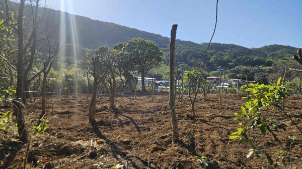 20260315玉皇宮-客官農場-崙子尾-青礐山-內寮山(騎車爬山)3016359