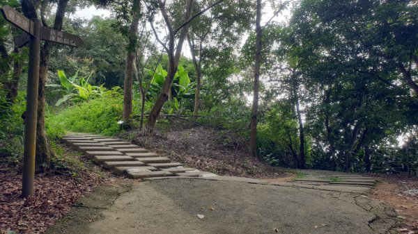 收集小百岳－台中太平三汀山1444034