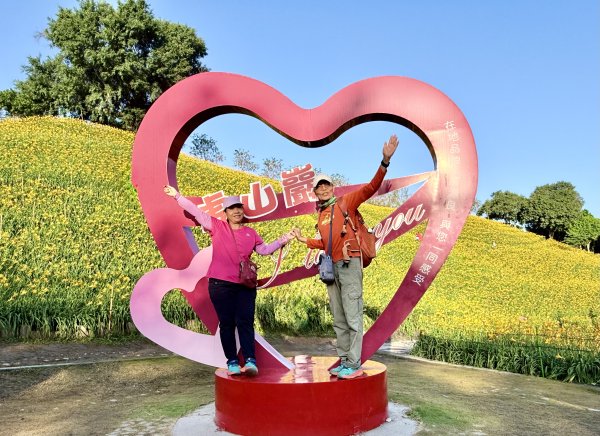 虎山巖賞金針花順撿基石    2025.5.142789439