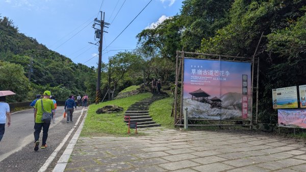 114.11.09草嶺古道芒花季之旅2932947